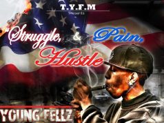 Young Fellz strugglepaincover